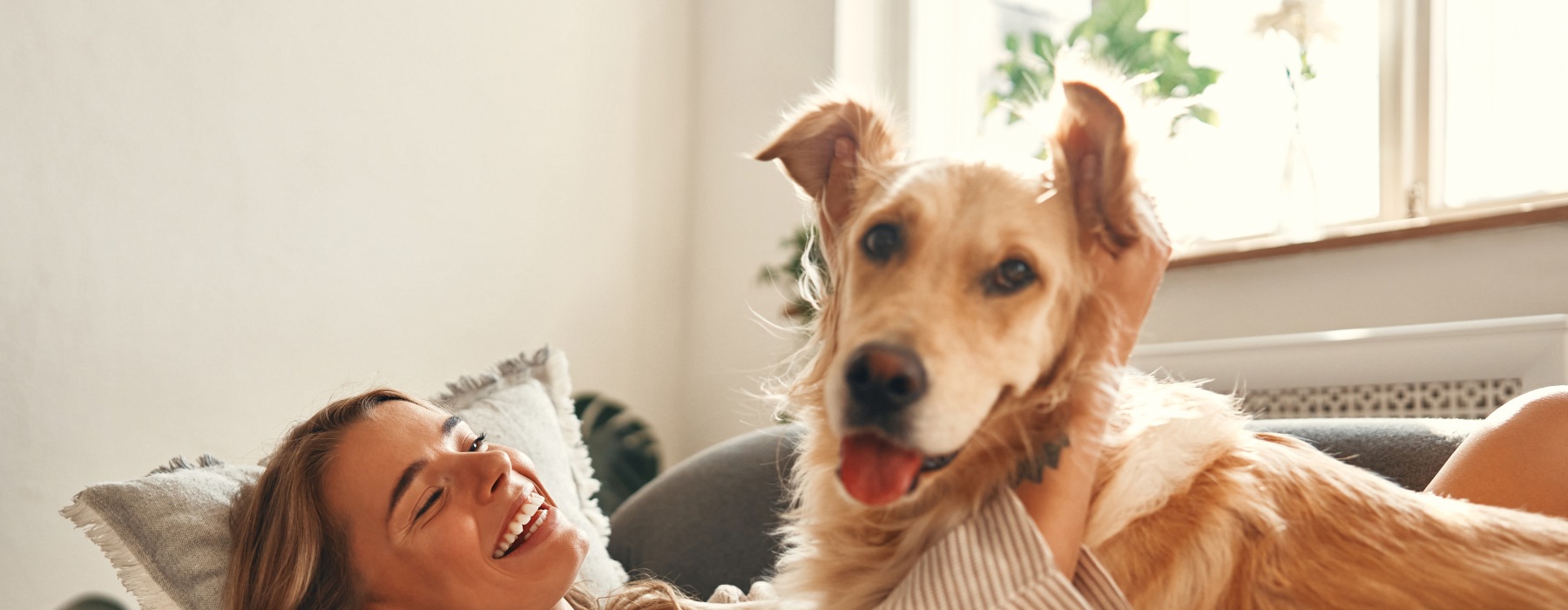 Pet Friendly